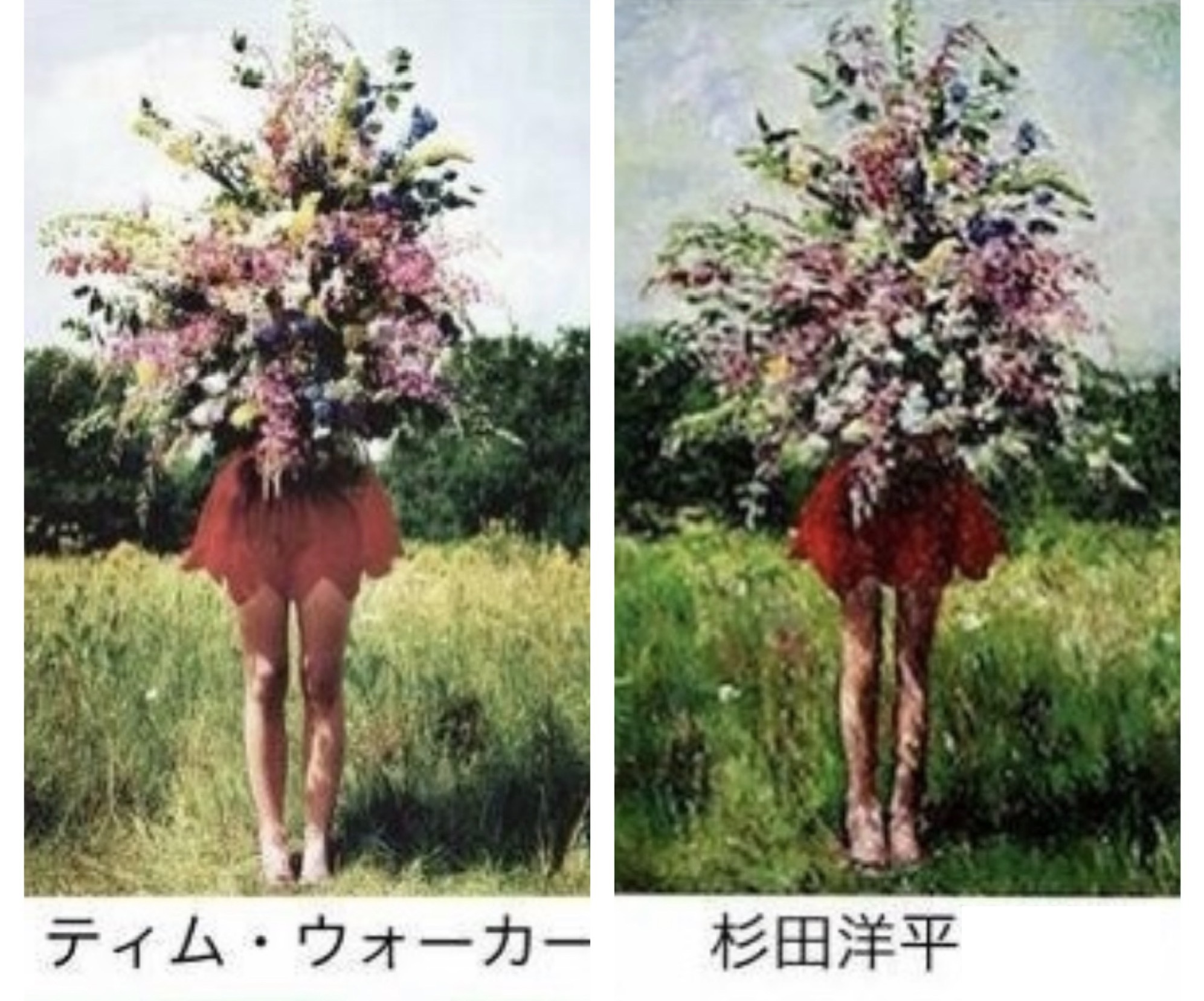 杉田陽平の作品が写真家ティム・ウォーカーの作品と酷似？