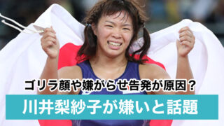 川井梨紗子が嫌いと言われる3つの理由!ゴリラ顔や嫌がらせ告発が原因?