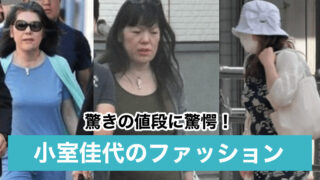 【画像】小室佳代のファッションブランドの値段に驚愕!エルメスや補正下着を愛用!