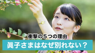 眞子さまはなぜ別れない?5つの理由が衝撃!小室圭に惚れ込みで洗脳状態?