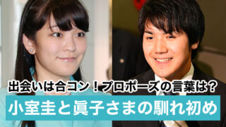 【時系列】小室圭と眞子様の馴れ初めとプロポーズ|出会いは合コン?