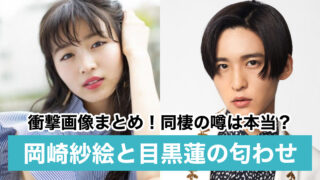 【衝撃】岡崎紗絵と目黒蓮の匂わせ画像11選!現在は同棲中で結婚も視野!?
